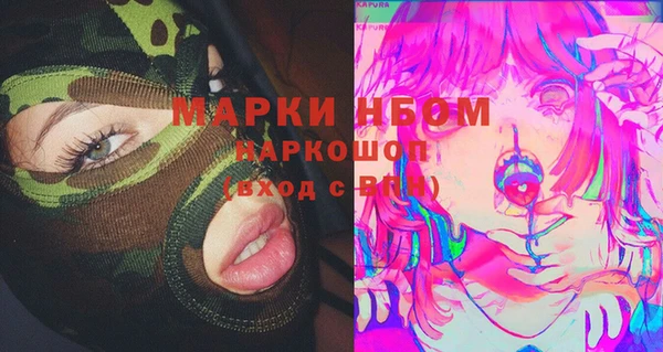стафф Арсеньев