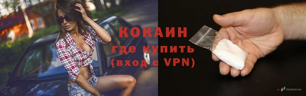 стафф Арсеньев