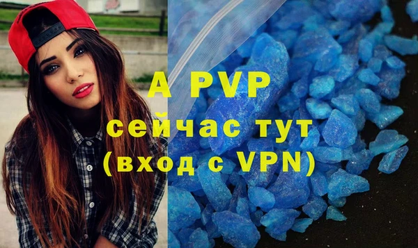 стафф Арсеньев