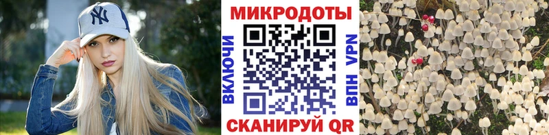 Галлюциногенные грибы GOLDEN TEACHER  omg ТОР  Новоуральск 